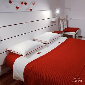 Whitehouse , Popesti-Leordeni România